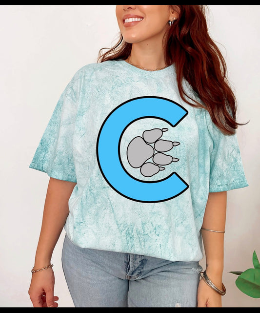 Comfort colors Tee